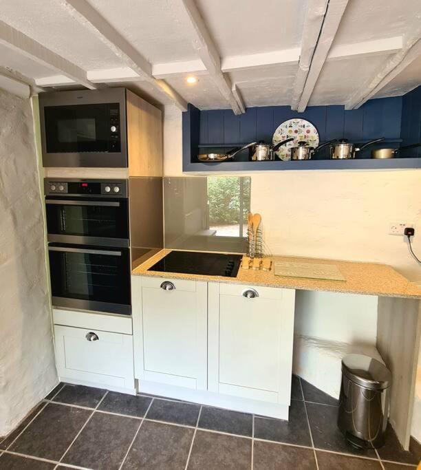 Mill Cottage Garden Annexe Newton Abbot Zewnętrze zdjęcie