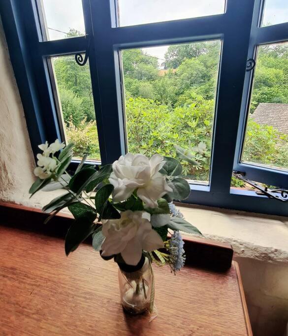 Mill Cottage Garden Annexe Newton Abbot Zewnętrze zdjęcie