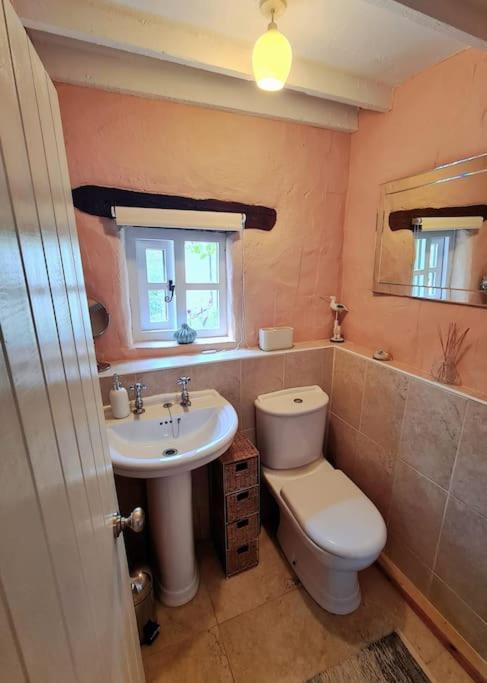 Mill Cottage Garden Annexe Newton Abbot Zewnętrze zdjęcie