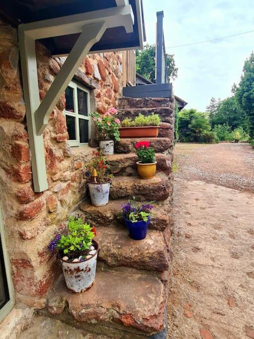 Mill Cottage Garden Annexe Newton Abbot Zewnętrze zdjęcie